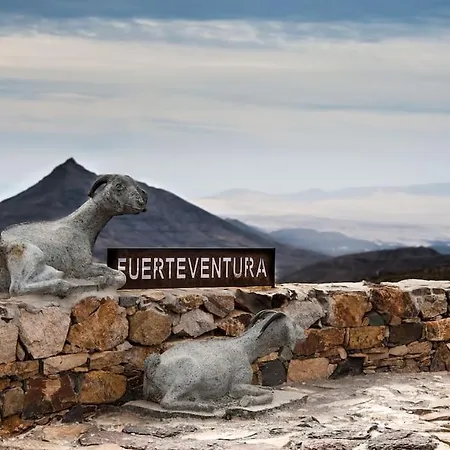 Oasis, El Sultan, Corralejo, Fuerteventura *